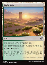 花咲く砂地（TDM 251・フォイル・日本語）