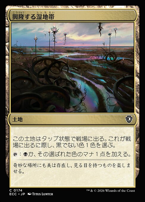 興隆する湿地帯（ECC 174・通常・日本語）