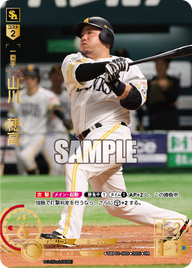 山川 穂高 TBP01-H09 UR [TBP01H/standard]