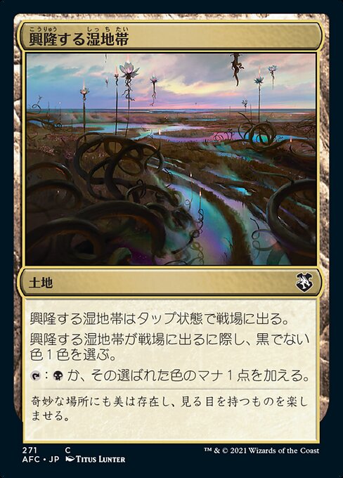 興隆する湿地帯（AFC 271・通常・日本語）