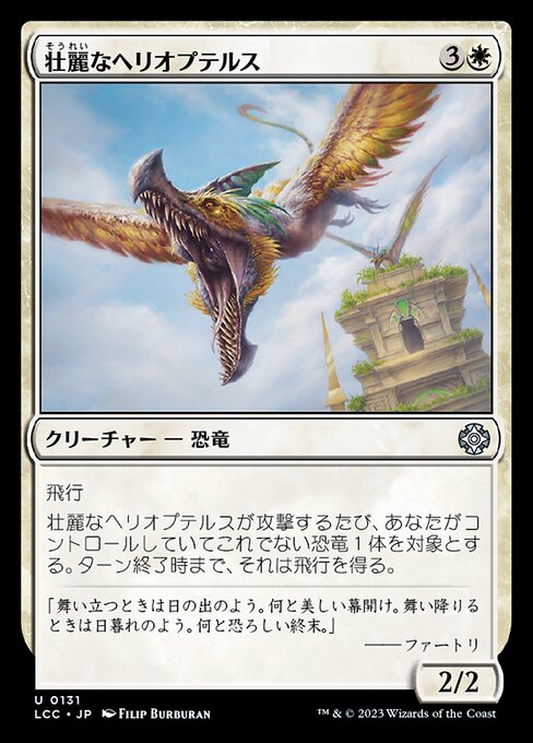 壮麗なヘリオプテルス（LCC 131・通常・日本語）