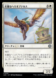 壮麗なヘリオプテルス（LCC 131・通常・日本語）
