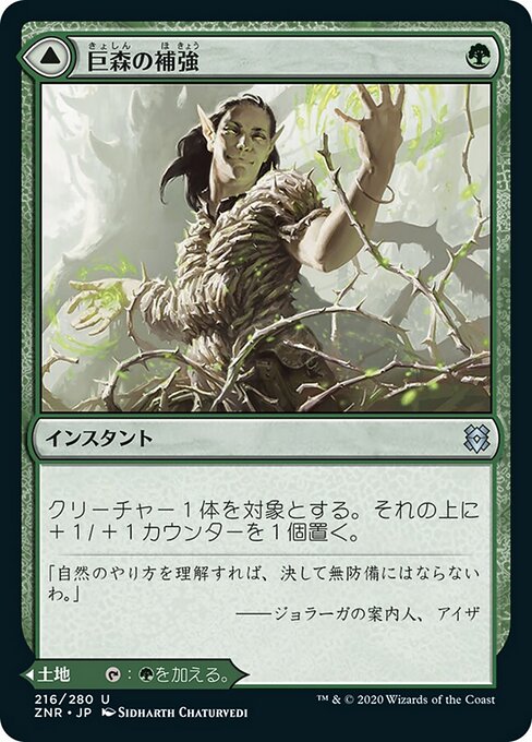 Vastwood Fortification // Vastwood Thicket（ZNR 216・フォイル・日本語）