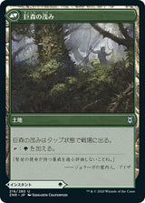 Vastwood Fortification // Vastwood Thicket（ZNR 216・フォイル・日本語）