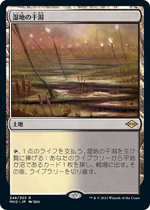 湿地の干潟（MH2 248・通常・日本語）