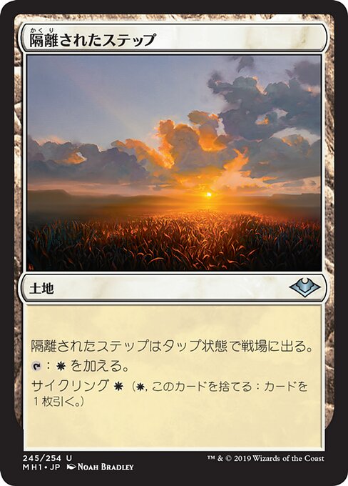 隔離されたステップ（MH1 245・通常・日本語）