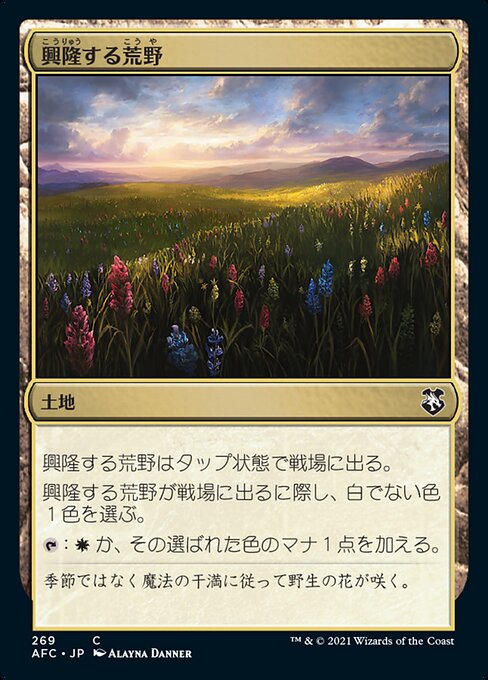 興隆する荒野（AFC 269・通常・日本語）
