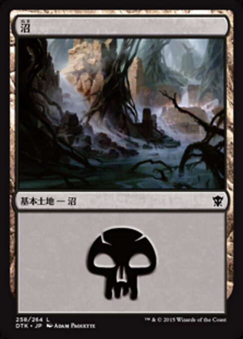 沼（DTK 258・フォイル・日本語）