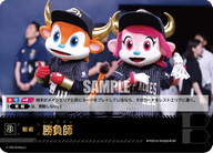勝負師 PDO_01 OR [TBP01B/standard]