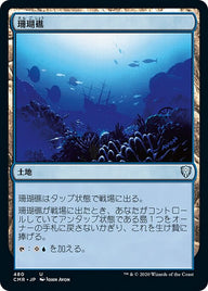珊瑚礁（CMR 480・通常・日本語）