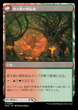 Stump Stomp // Burnwillow Clearing（MH3 259・通常・日本語）