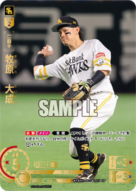 牧原 大成 TBP01-H15 SP [TBP01H/standard]