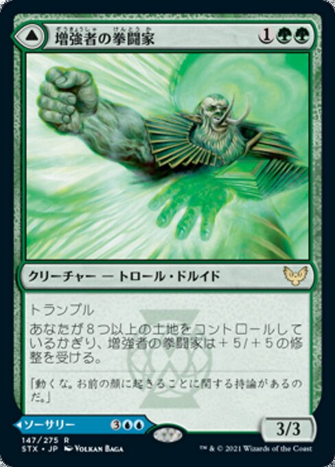 Augmenter Pugilist // Echoing Equation（STX 147・フォイル・日本語）
