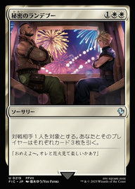 秘密のランデブー（FIC 219・通常・日本語）