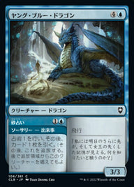 Young Blue Dragon // Sand Augury（CLB 106・通常・日本語）