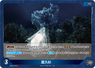 屋久杉（BP03-075）［R］