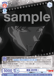 邂逅 赤井秀一（CNN/01B-045）［R］