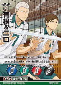 青根&二口（HV-04-029）［レアバボ］