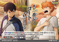 俺が一番長くコートに立ってやる（HV-10-045）［ノーマルバボ］