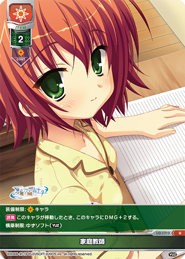 家庭教師（LO-1713）