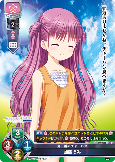 島一番のチャーハン 加藤 うみ（LO-2855）