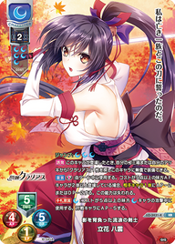影を背負った流浪の剣士 立花 八雲（LO-3431-K）