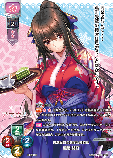 偶然と謎に満ちた転校生 黒姫 結灯（LO-3846-S）