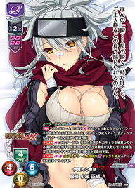伊賀同心筆頭 服部 小波 正成（LO-3919-K）