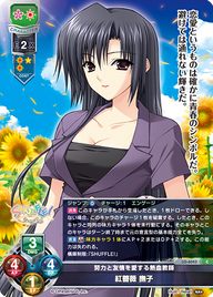 努力と友情を愛する熱血教師 紅薔薇 撫子（LO-6043）