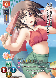 駆け出しアイドルの義妹 新山 葵（LO-6638-K）