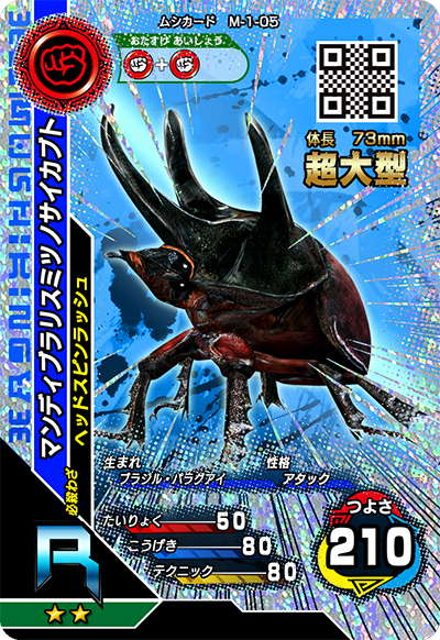 マンディブラリスミツノサイカブト（M-1-05）［R］
