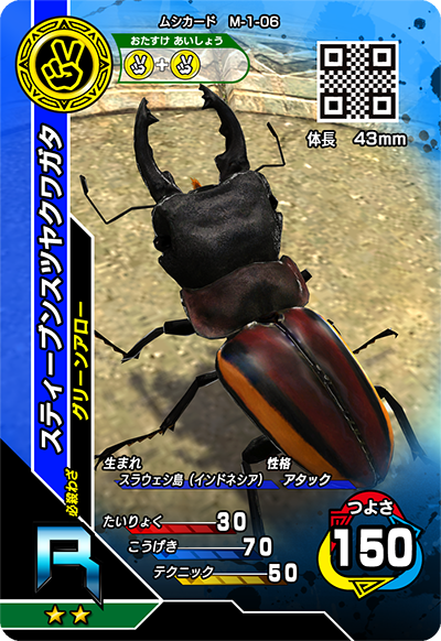 スティーブンスツヤクワガタ（M-1-06）［R］