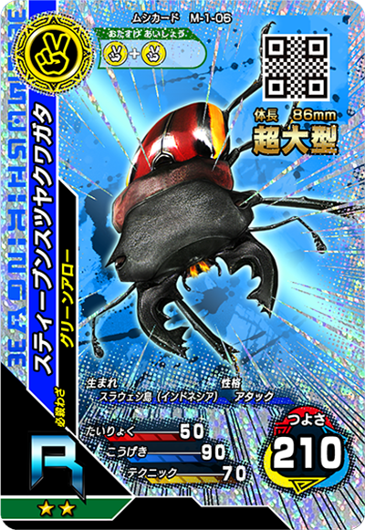 スティーブンスツヤクワガタ（M-1-06）［R］