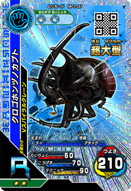 クロゴホンヅノカブト（M-1-07）［R］