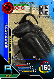 ギガスサイカブト（M-1-08）［R］