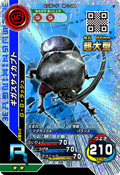 ギガスサイカブト（M-1-08）［R］
