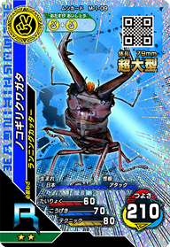 ノコギリクワガタ（M-1-09）［R］