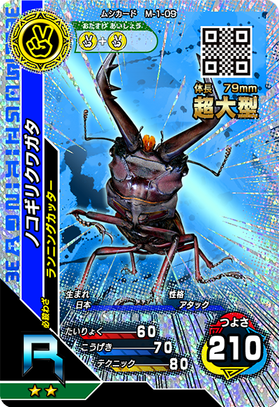 ノコギリクワガタ（M-1-09）［R］