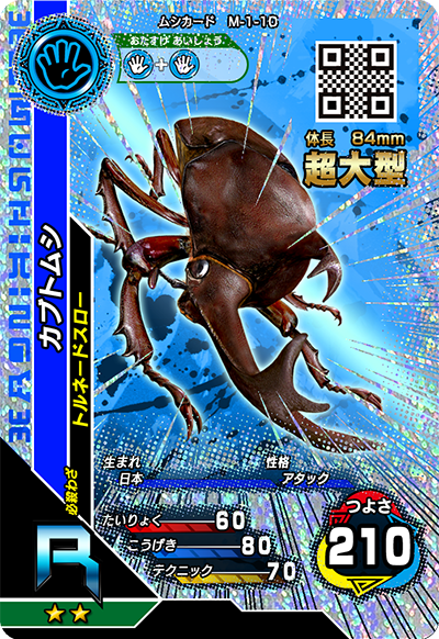 カブトムシ（M-1-10）［R］