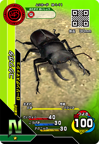 コクワガタ（M-1-11）［N］