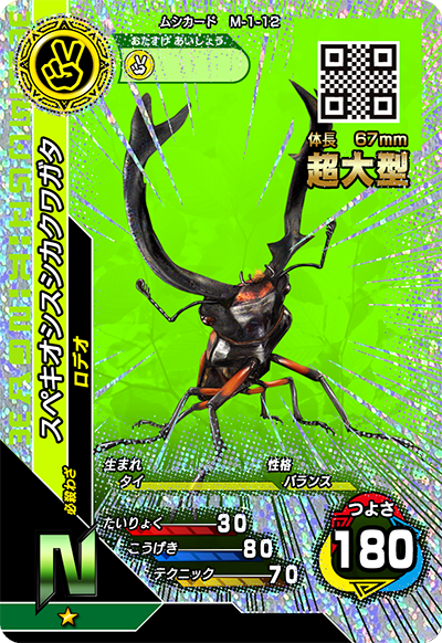スペキオシスシカクワガタ（M-1-12）［N］