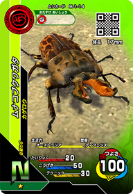 ムナコブクワガタ（M-1-14）［N］