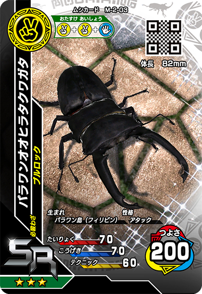 パラワンオオヒラタクワガタ（M-2-03）［SR］