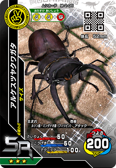 アルケスツヤクワガタ（M-2-05）［SR］