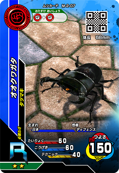 オオクワガタ（M-2-07）［R］