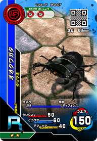 オオクワガタ（M-2-07）［R］