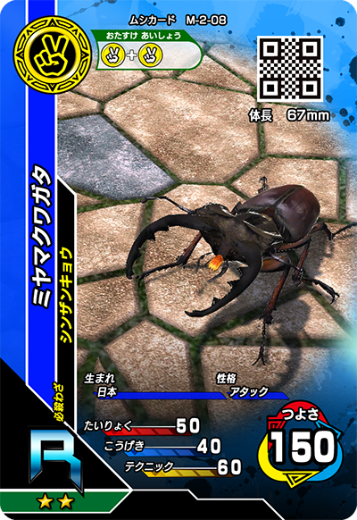 ミヤマクワガタ（M-2-08）［R］