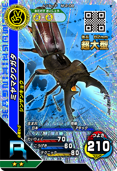 ミヤマクワガタ（M-2-08）［R］
