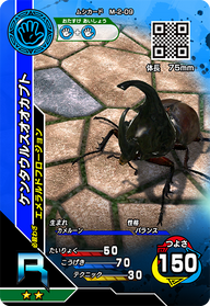 ケンタウルスオオカブト（M-2-09）［R］