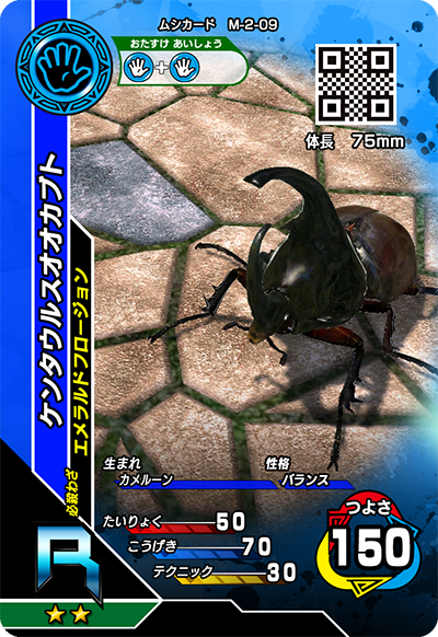 ケンタウルスオオカブト（M-2-09）［R］